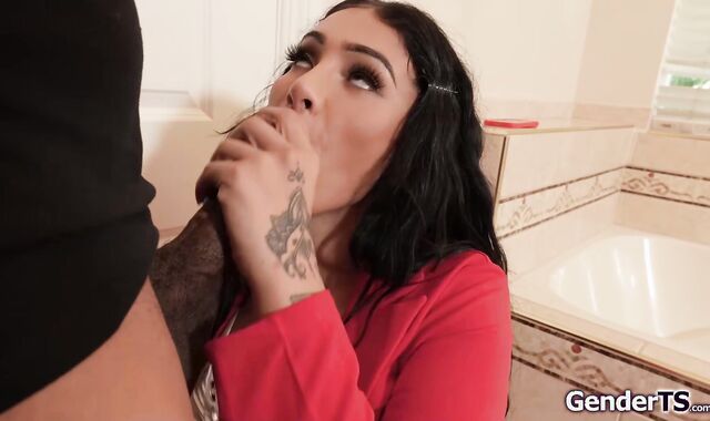 Anal banging the busty shemale realtor