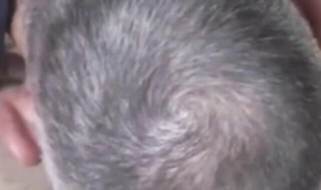 Twink's Shaved Hole Tongued by Amateur