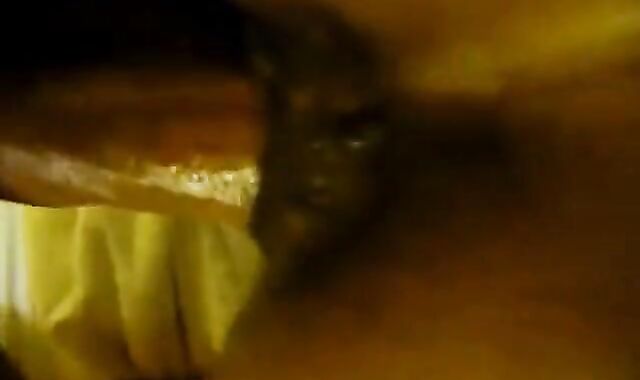 Amateur Bareback Daddy Fucks Twink