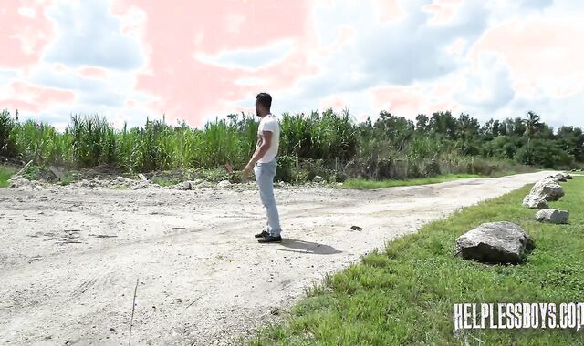The lengthy Way Home