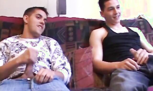 youthfull Martin And TJ devour beefstick And wank off