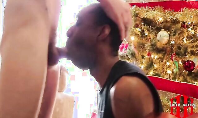 Milky For ten-Pounder Christmas