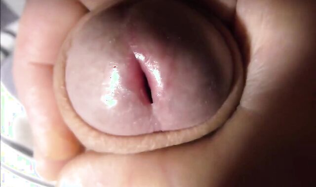 Amateur Big Cock Masturbation Cumshots 4
