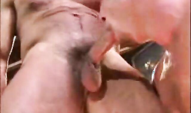 MalhaÃ§Ã£o sexual