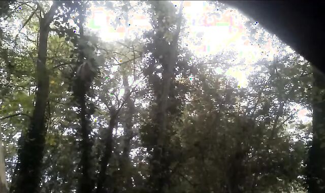 Je Suce Une Bonne Queue En Foret