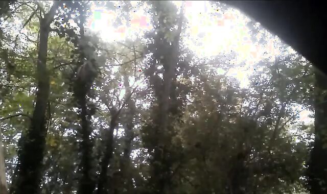 Je Suce Une Bonne Queue En Foret