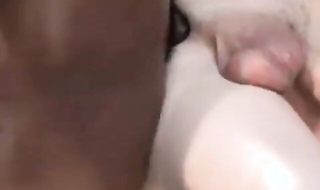 sinful Multiracial threeway tearing up