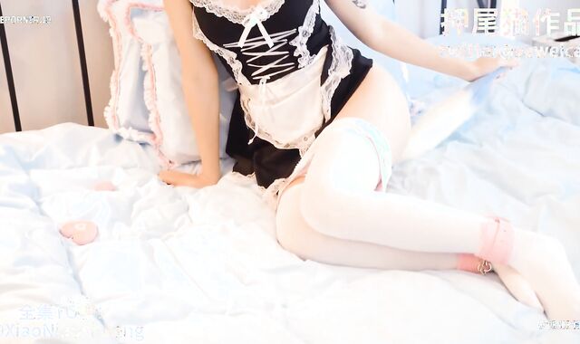 Asian Trap Uses Tail Plug & Toy