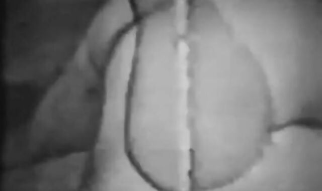 Vintage Bareback Blowjob by Amateurs 3