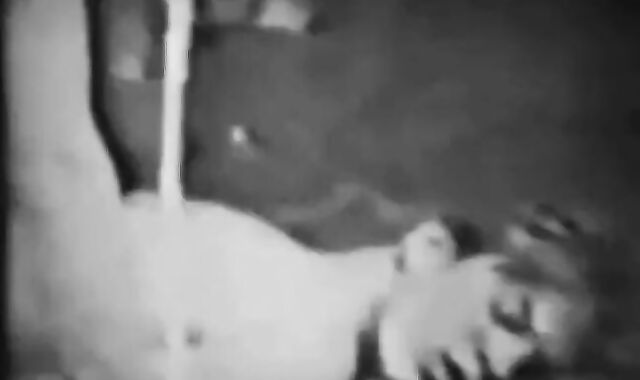 Vintage Bareback Blowjob by Amateurs 3