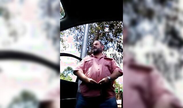 Daddy Bear Strokes in the Park