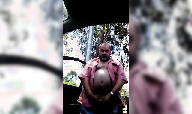 Daddy Bear Strokes in the Park