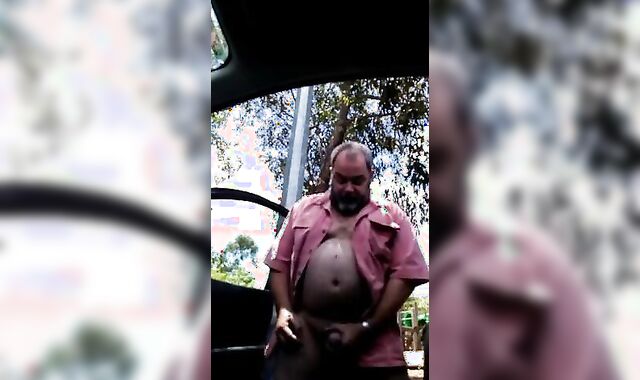 Daddy Bear Strokes in the Park