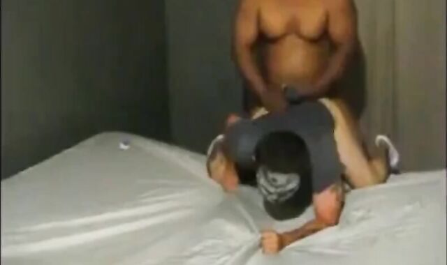Black Stud Hammers White Chub 2