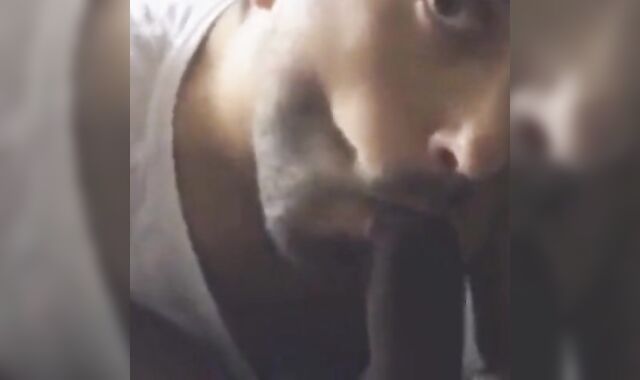 Indian Amateur Sucks a Big Black Cock 3